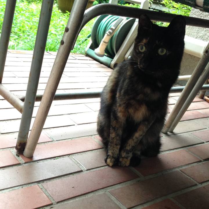 519bc383 6153 4dba bd99 c75acc123b6c