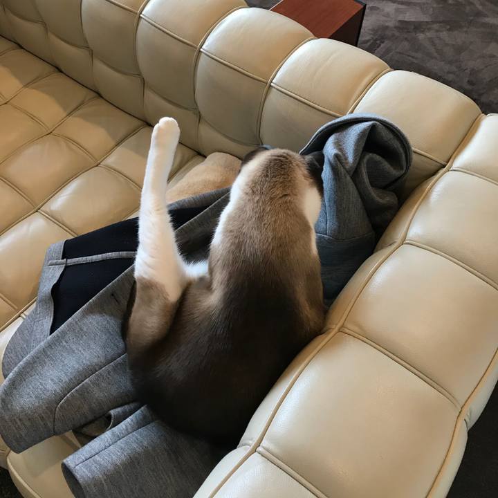 519c6a30 a8f0 410c 8c0f 7b034b2d5887