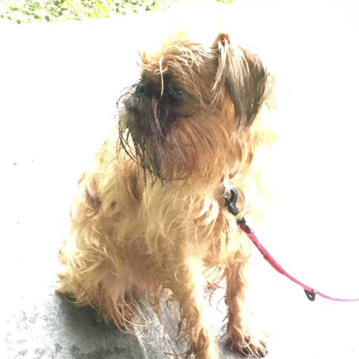 519d6bd8 5e26 4db6 a6c8 803c1b7e250b