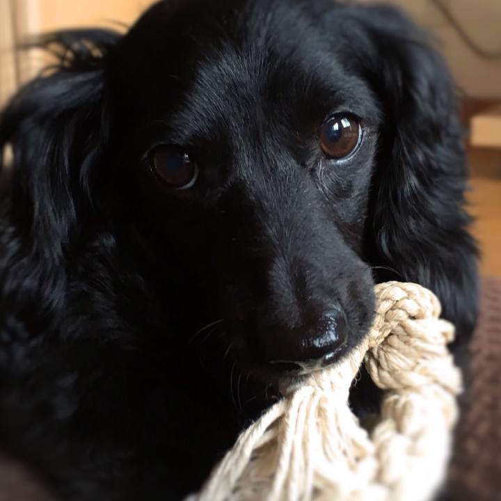 519e283e 1a34 4351 9be1 2e764c5f3a58