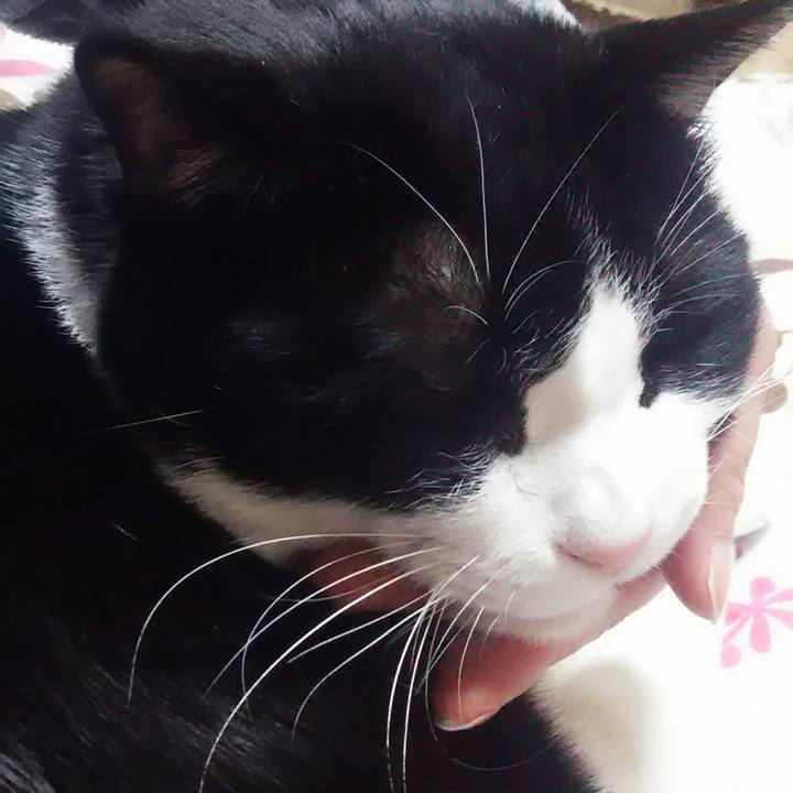 519e5a6b 439c 499b 99b9 3d1f8c698f07