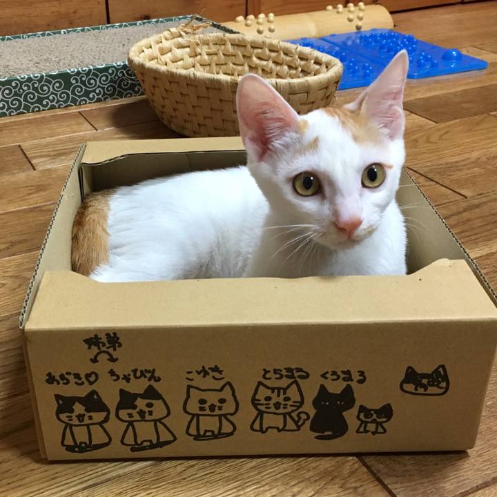 519e61e4 8903 41ba b943 b2830450be76