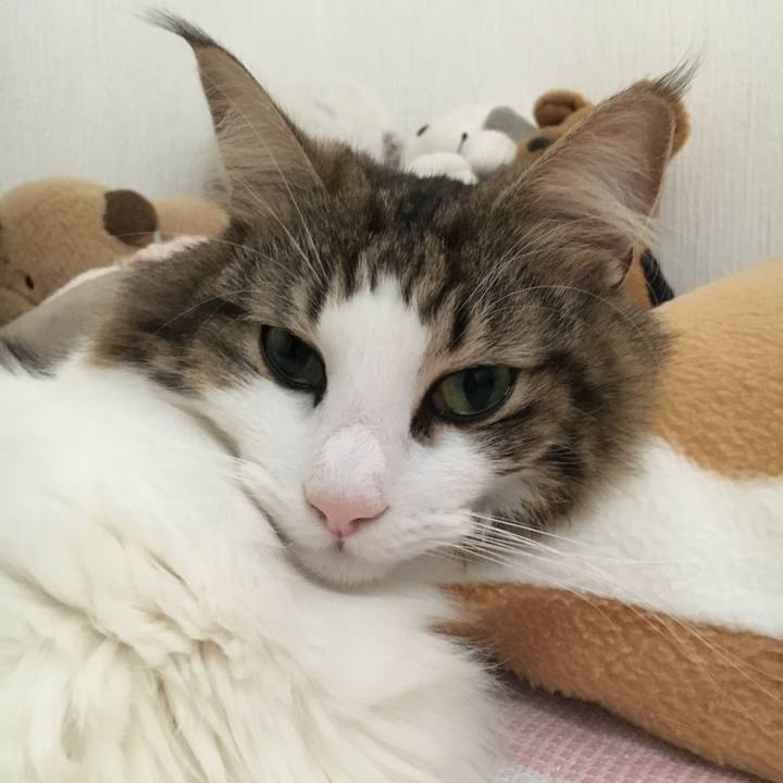 519ecea7 af0f 437f bb69 b2fcc6181ba9