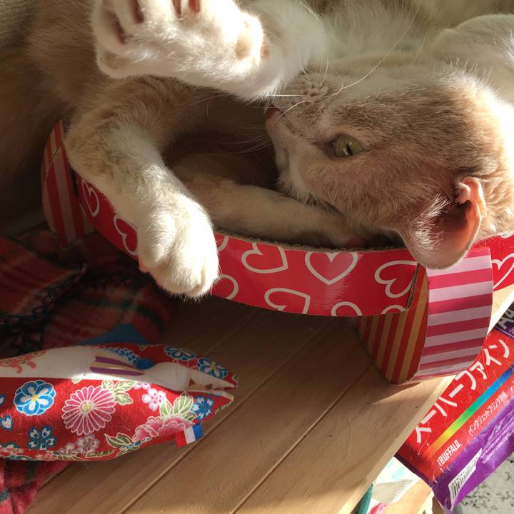 519ed1a3 9255 4da2 bb54 2a50dc95ea6d