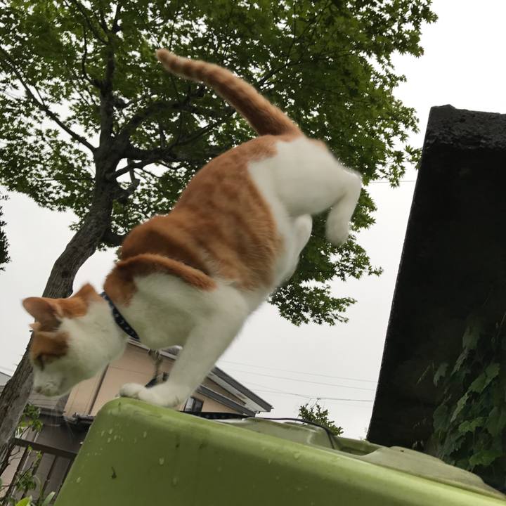 519f2305 1712 4c30 959a bae25dd7dbee