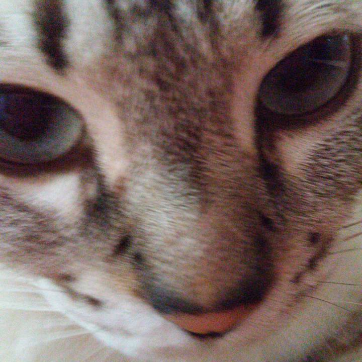 519f3227 24d4 4971 8f35 261f11c4236c