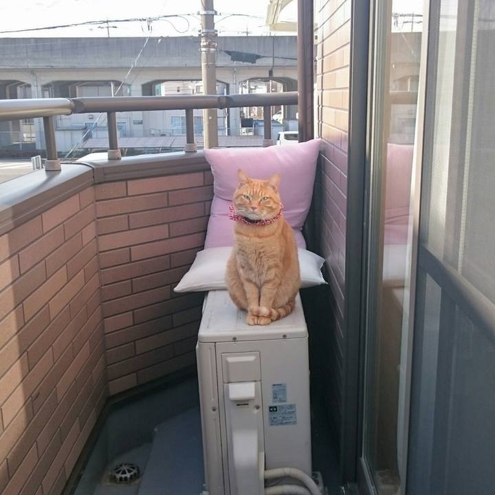 519f3de9 40b8 4c71 99d8 c0f867940fa4