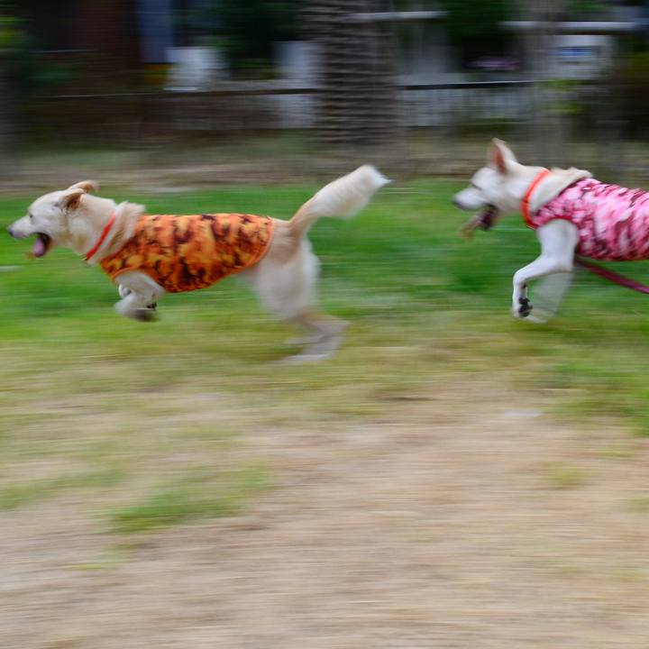 519f558a 5be9 45cd 885e fc5fb9f2bbd3