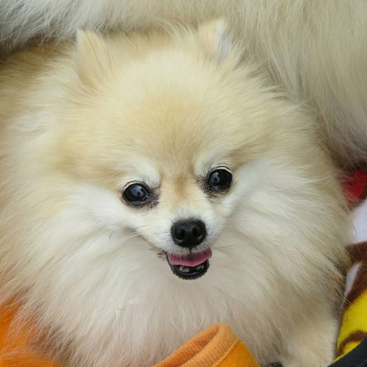 519fdc36 cab3 4ca6 838e 8f32793618cf