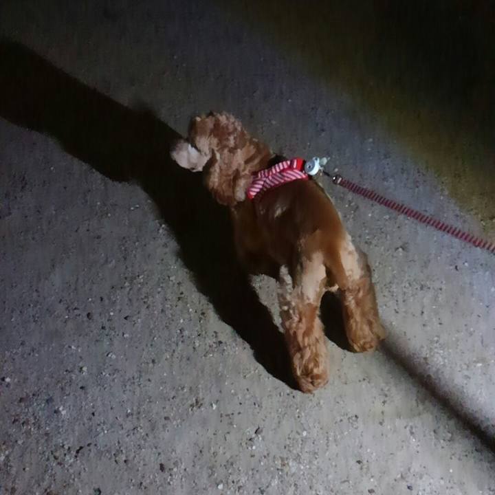 51a095c1 ed5c 484c 9f01 38dca9621af1