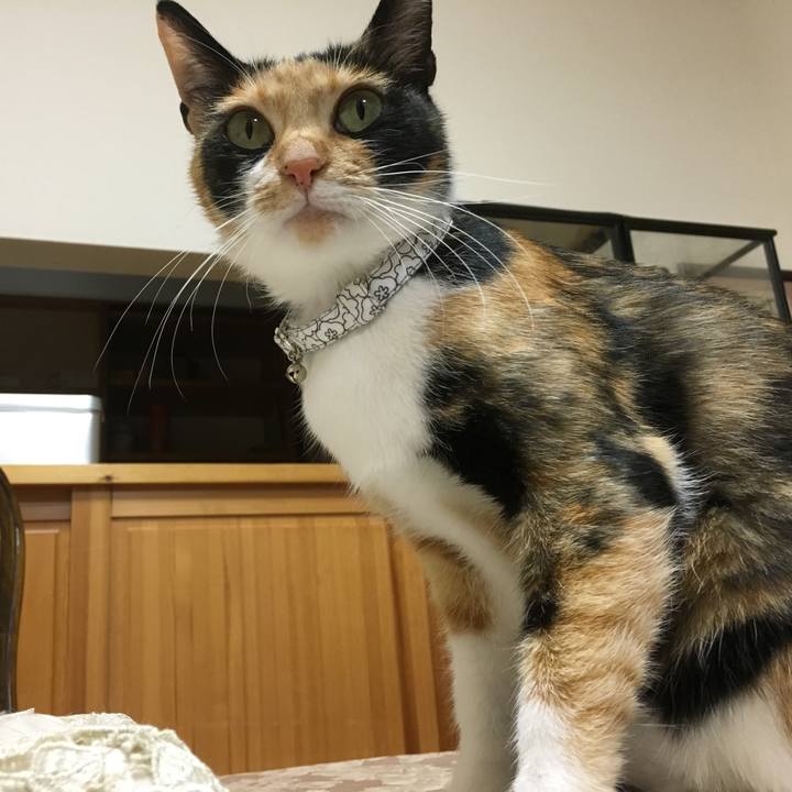 51a0a8f8 9c61 4a83 93bb 1f01ecd2557d