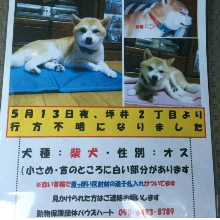 51a12b94 77d1 4c9f 82de cce0dcf11341