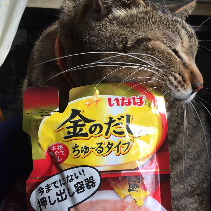 51a16939 b9c5 40ae 96e4 a6a02924bb61