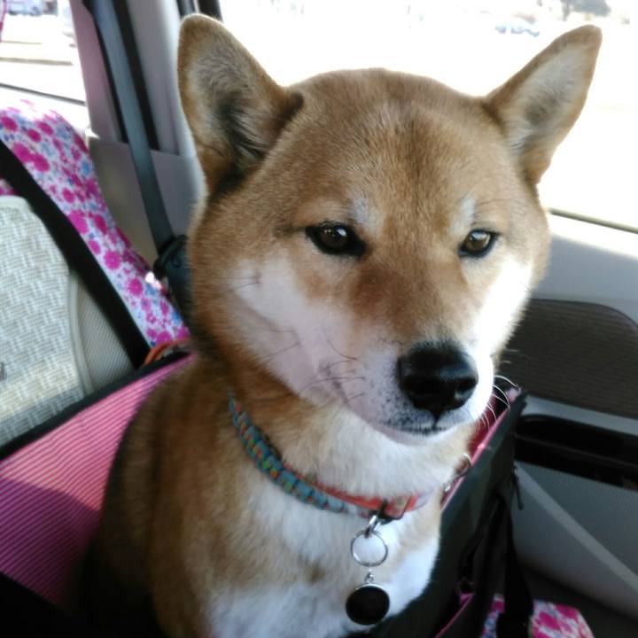 51a1b03c d0f4 49b3 964a be3b30c8fed3