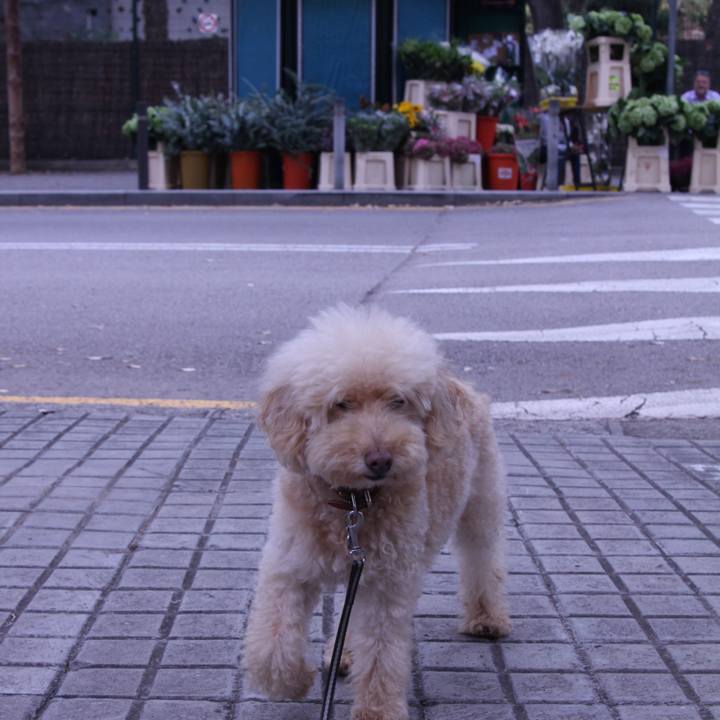 51a1b964 235a 4761 ba58 2d71d93519b2