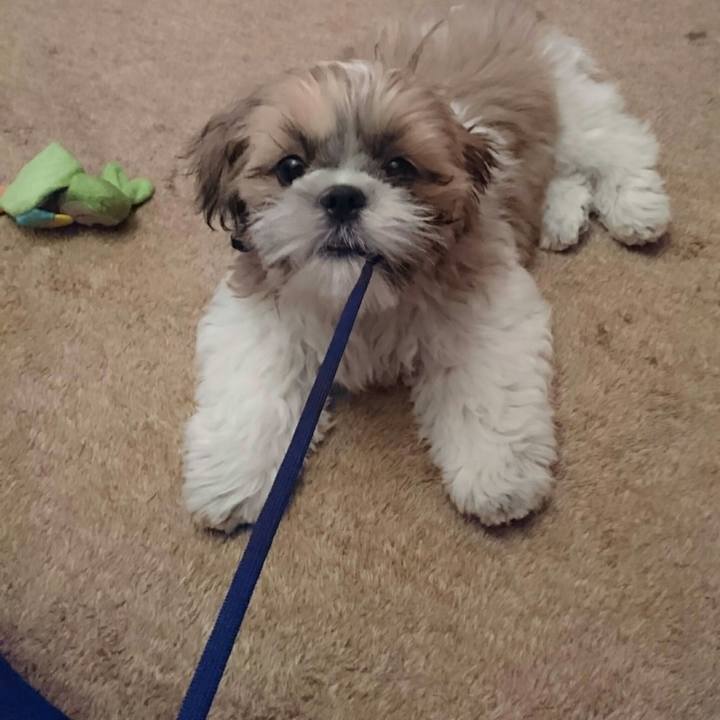 51a22336 9731 403d b749 ab0df7e43a31