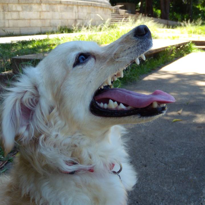 51a227e2 7f46 4ab2 b71c 0516508804f3