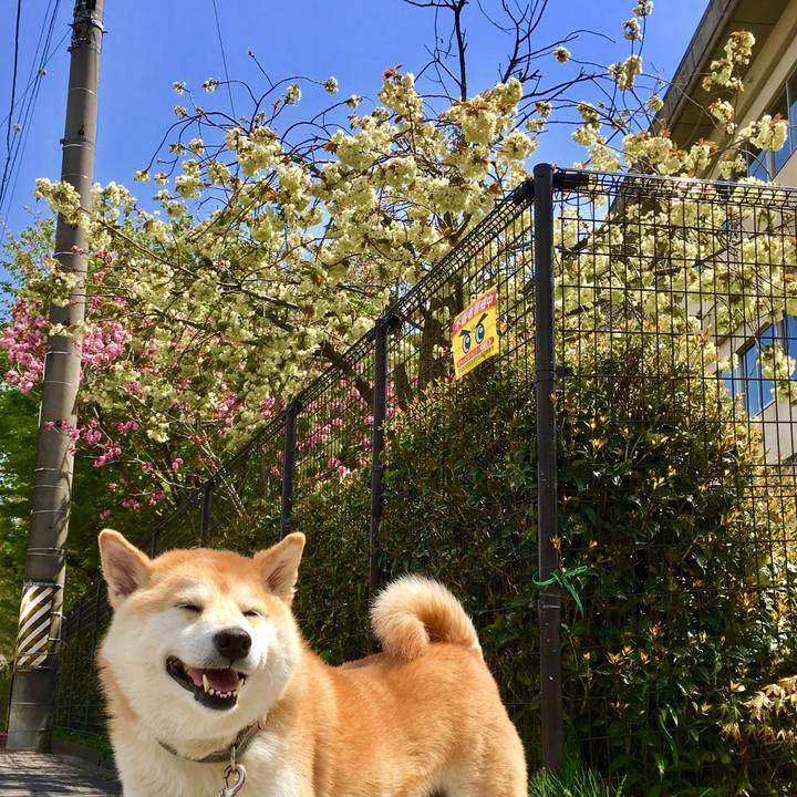 51a275a0 6eda 4f6e 84d4 e827745a507e