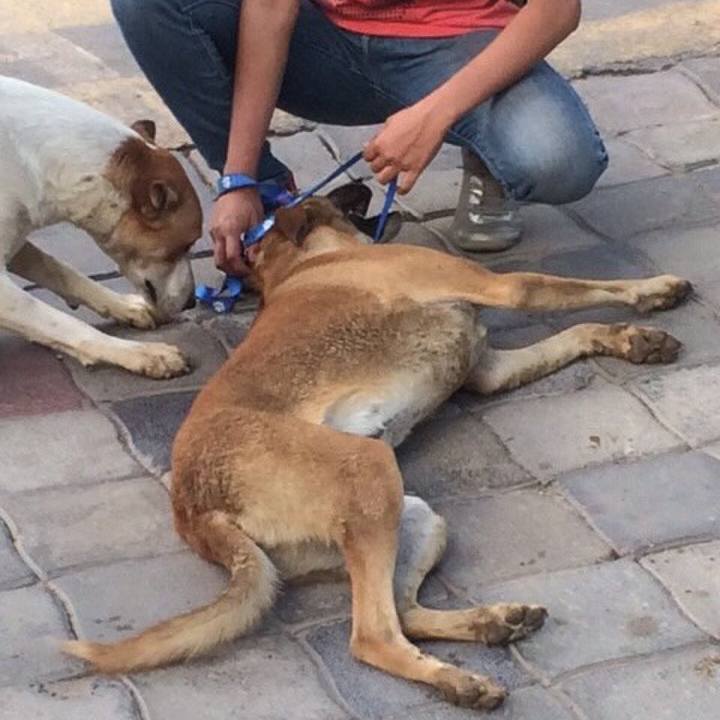 51a2d381 9ea8 4a60 92e1 ca666d66cd2f