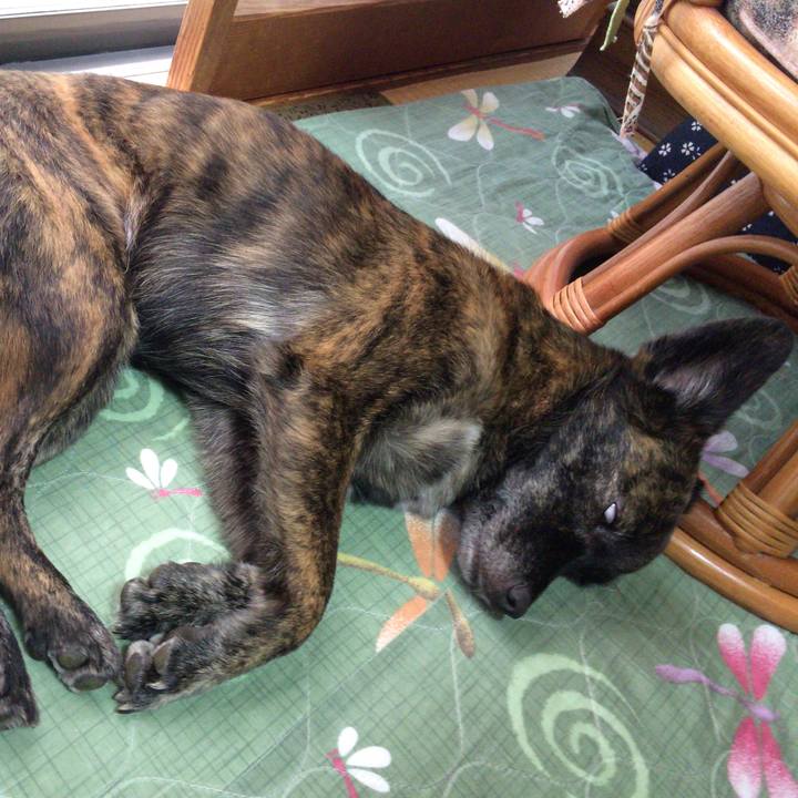 51a3017c b338 4869 98f0 57b603056dfc