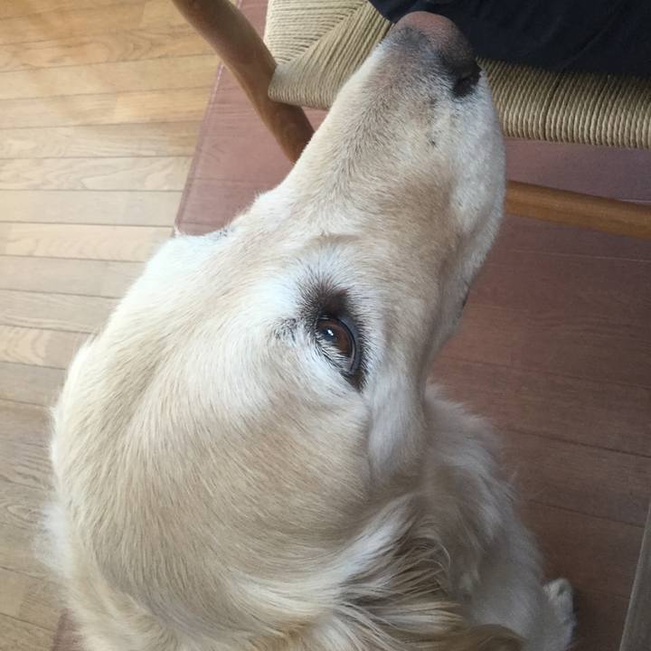 51a41697 e845 46ef 9c3d 6aab318fbf16