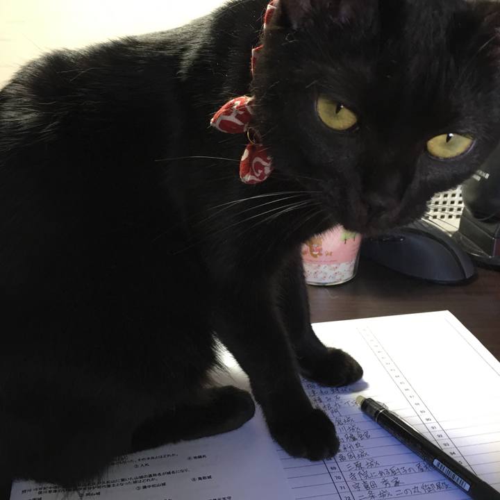 51a45b4e 2cf1 4746 8dd8 009d50cfd8ed