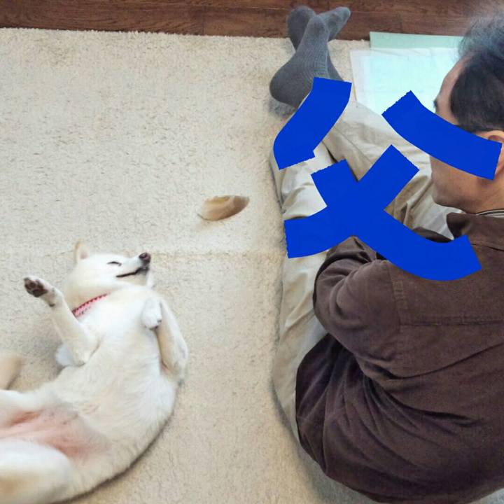 51a47cd0 6797 409d 994f 4453e6e3e3ac