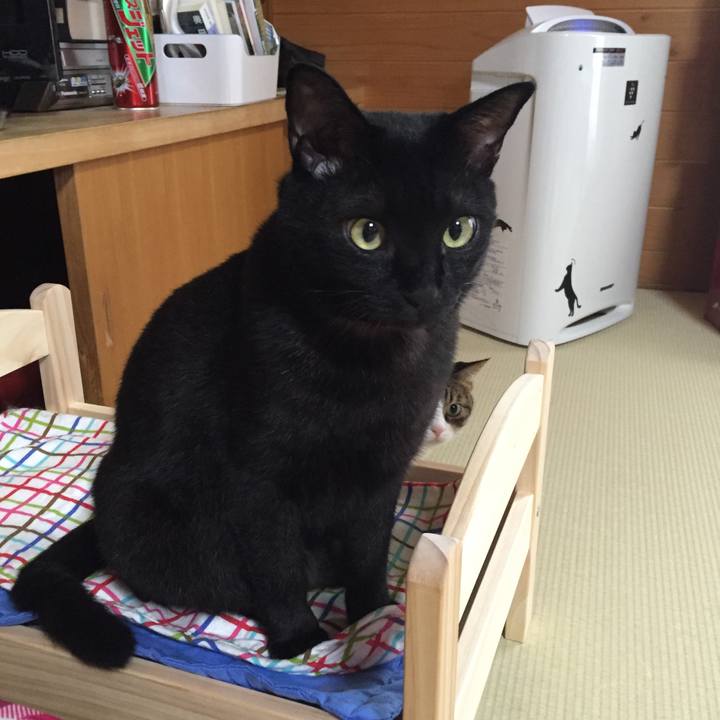 51a4c377 6a06 441c 991d 9d77757fc5a9