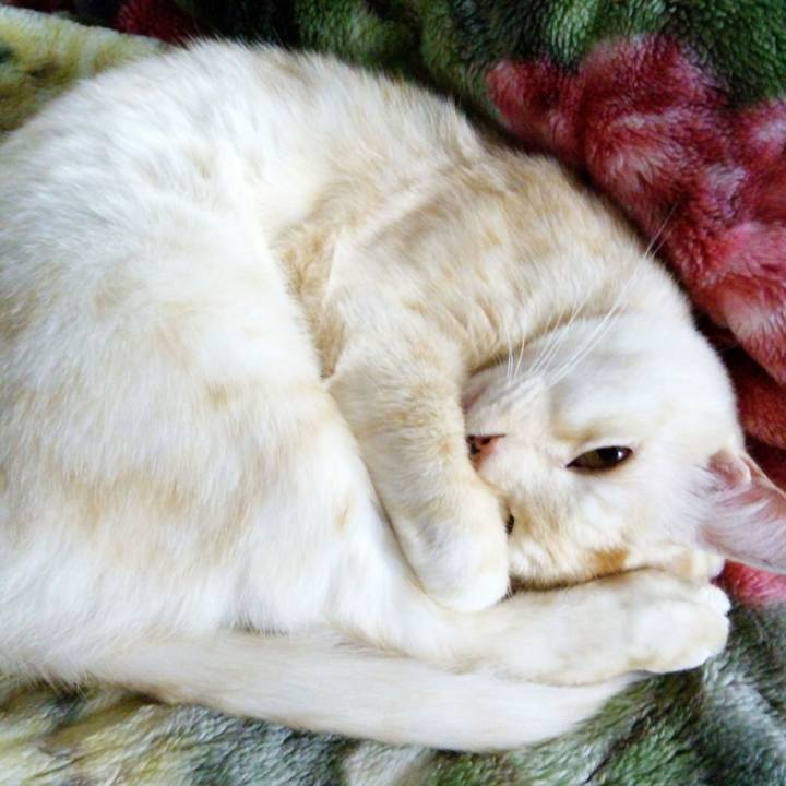 51a4d4ce 02d2 4b4d 9519 2948d1672a97