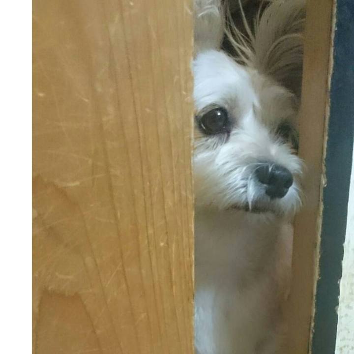 51a4e733 fdae 4ebc 8d2e 63a895d0df06