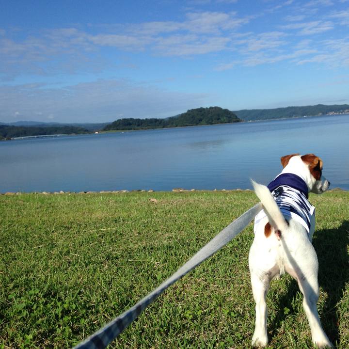 51a659fc 3e08 4b70 8556 ca78acfd29fc