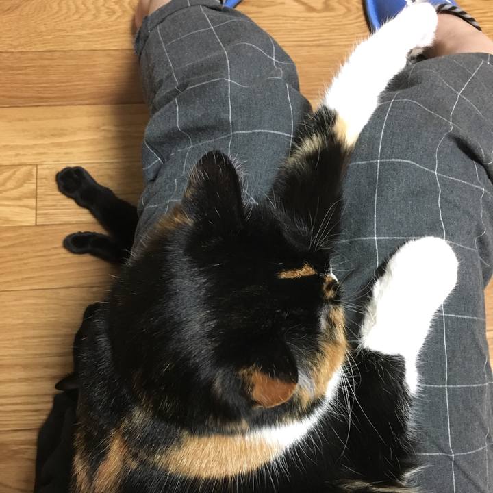 51a702bf 4832 4d18 b9c7 0a6b75772cd8