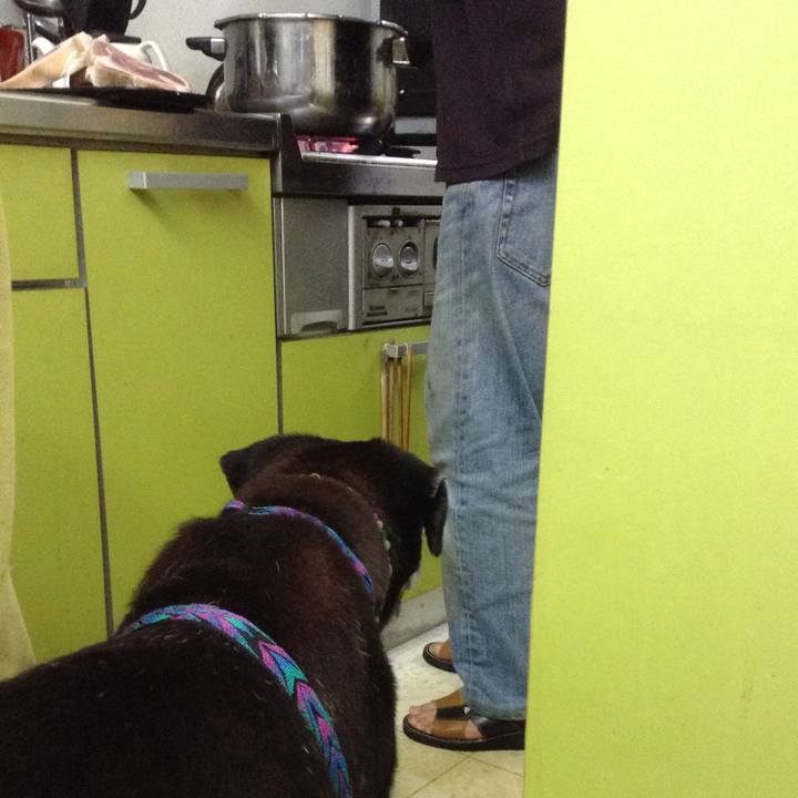 51a7815b 736c 4834 8d7d bfe25840e165