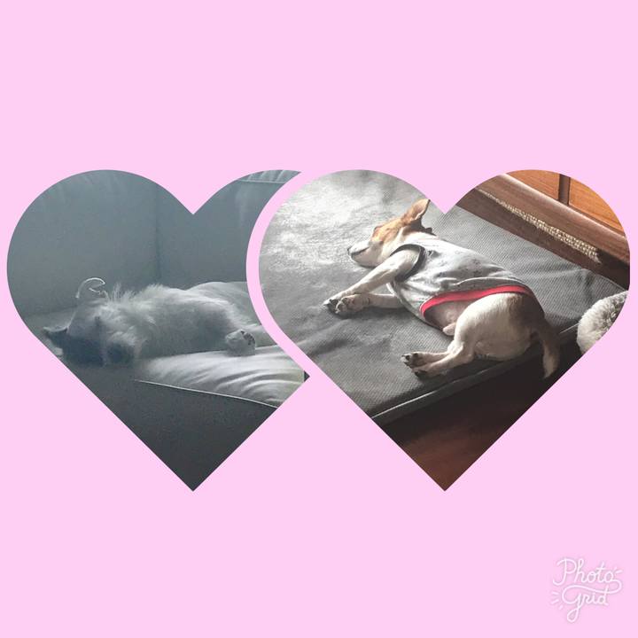 51a7e227 6fdf 4222 a014 267b0874de8e