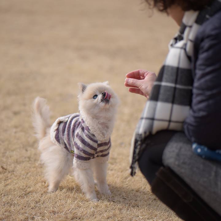 51a829bb 9fa9 401a 835d 81170f9fbf57