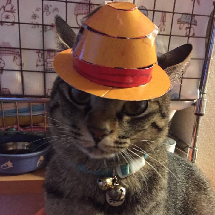 51a8b314 814a 454f a831 441717c20d70