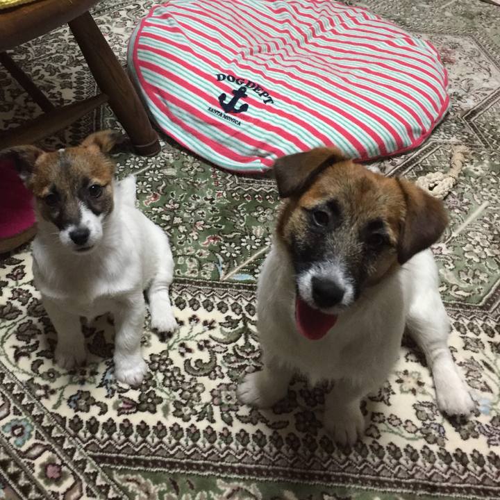 51a8e756 0ca9 4e09 a479 b79c2606c952