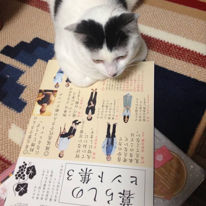 51a908c6 a77f 4828 8ebd 8836eae4b54b