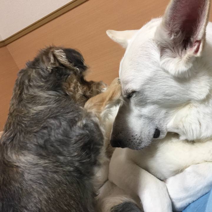 51a97888 e4be 45cd 98da 2b4d071bce1b