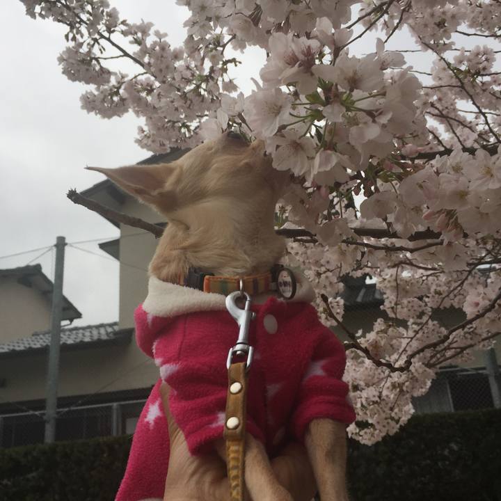 51aa4c6d ddb8 4079 97db 5e0e0b1eadac