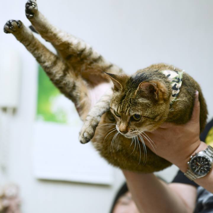 51aa946f 7d99 4483 aa16 f4a2bc5f1972