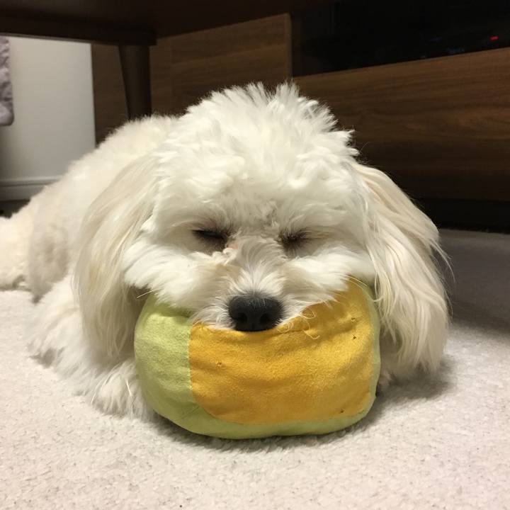 51ab721b 13c5 40aa 9d31 275b5480ecb4