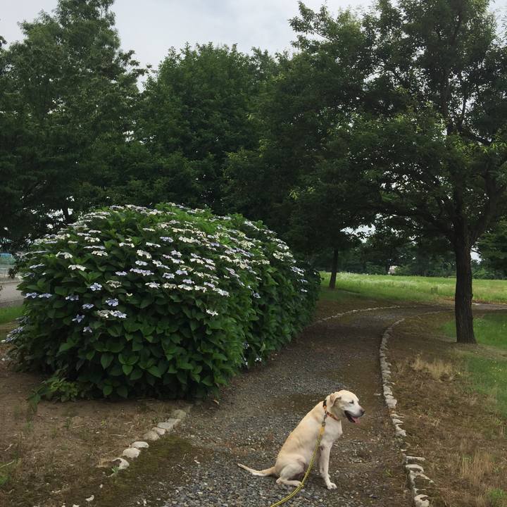 51abadff 764f 45a0 9954 10328417caaa