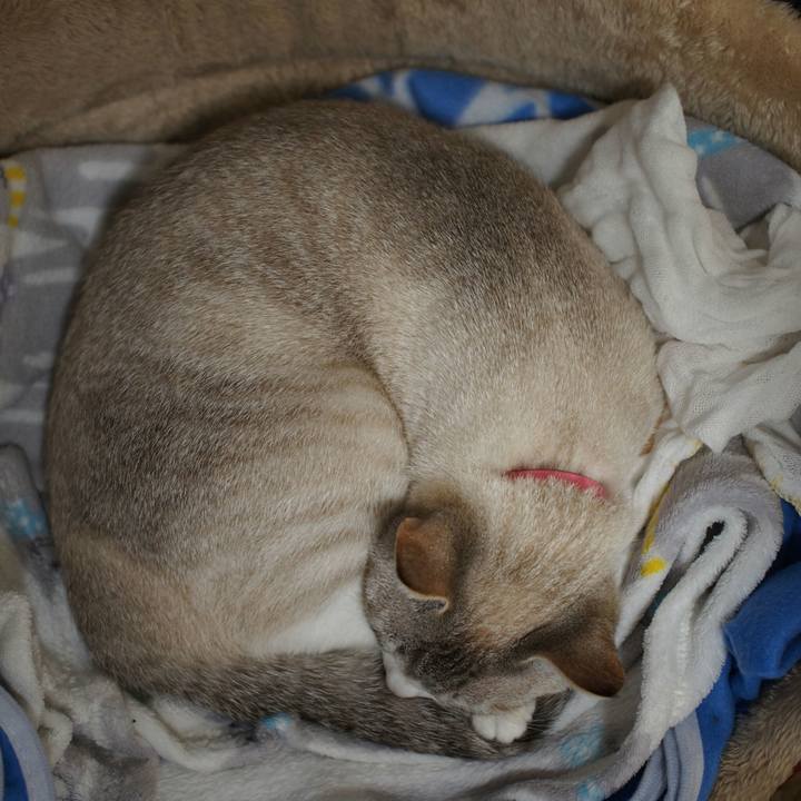 51abc0e0 9bed 4b20 9be4 373ee1939ca6