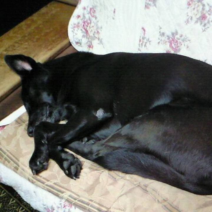 51ac173e 448c 40d5 9e15 e36821bafa39