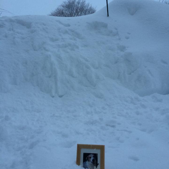 51ac7d0f 60b3 457a ba86 7673e0f5f6e5