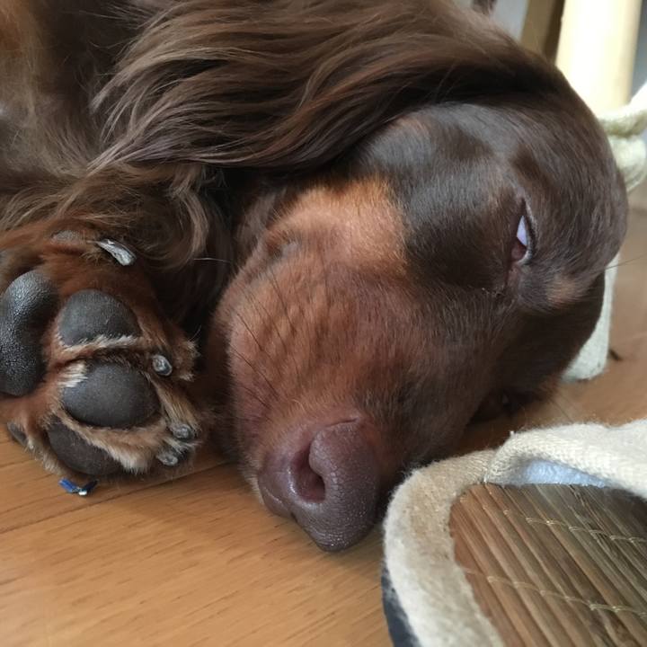 51ac7e0a 4ba1 4def 91e1 f60140132bde