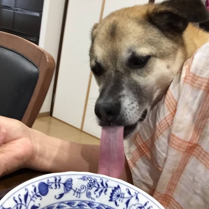 51ace824 8266 4a74 85ab c839bc7b6773