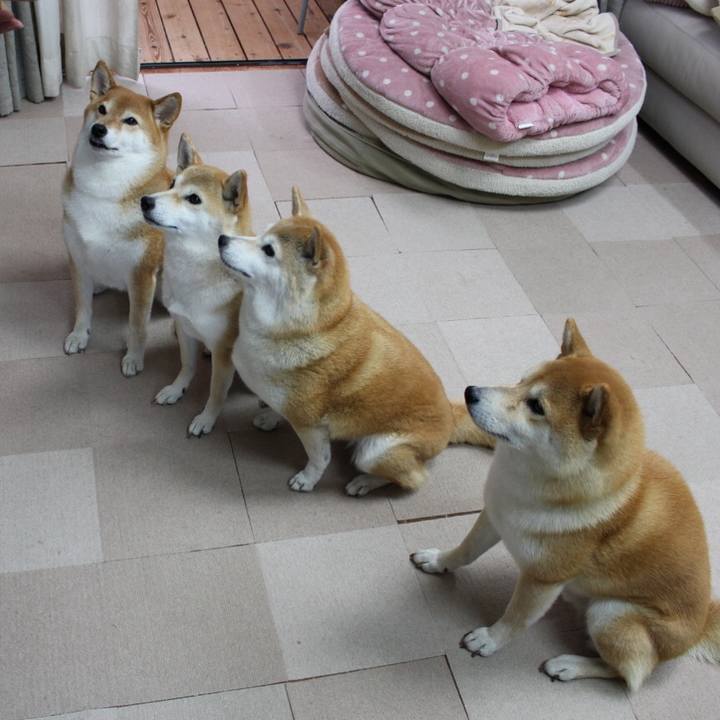 51ad0870 40de 4011 8dac bf0701e5fc1c