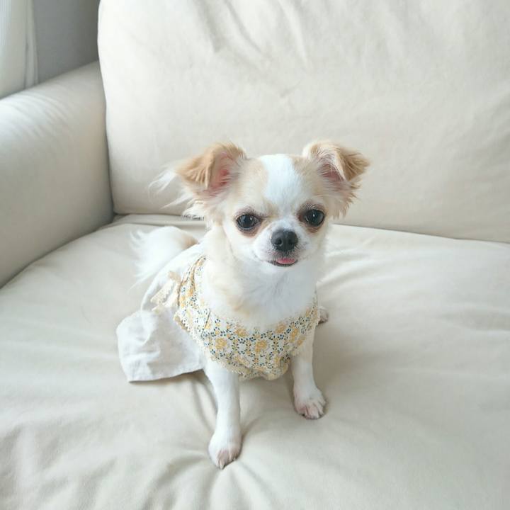 51ae735d 35cc 4f1f 9fab 30b1a5029e6f